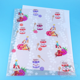 Range Document Disney Japan Tic et Tac