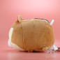 Plush Tsum Tsum Chip And Dale Disney Japan