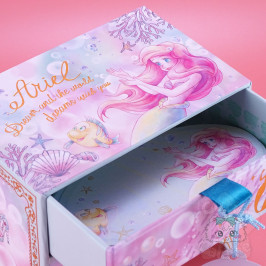 Boite Rangement Belle Disney Japon