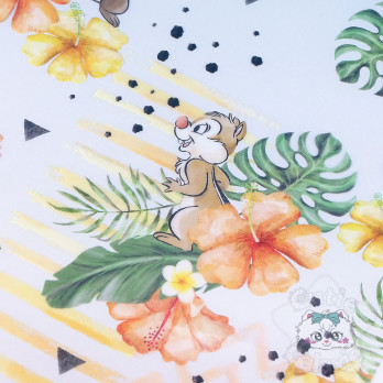 Range Document Tic Et Tac Disney Japon