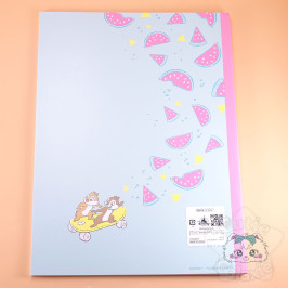 Carnet A4 Tic Et Tac Look Fruité Pastèque Petits Carreaux Disney Japon