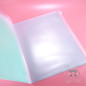 Plastic pouch A4 with storage Clarice Chip And dale Disney Japan