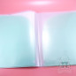 Plastic pouch A4 with storage Clarice Chip And dale Disney Japan