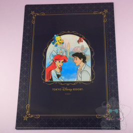 Range Document Couple Disney Japon