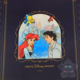 Range Document Couple Disney Japon